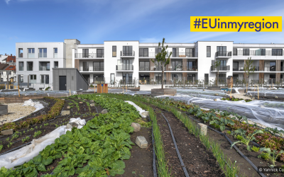 #EUinmyregion : l’Europe se cultive sur les toits ! Une visite guidée unique !