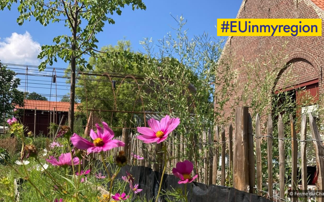 #EUinmyregion à la Ferme du Chaudron : Visite gratuite guidée avec Clara