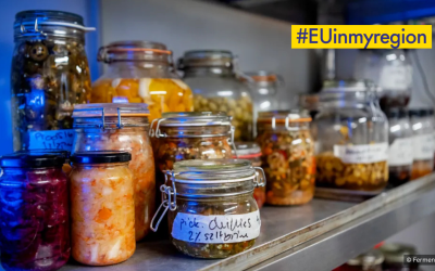#EUinmyregion et Be-HERE : À la découverte de workshops Fermenthings